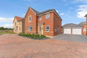 Photo 10- click for photo gallery